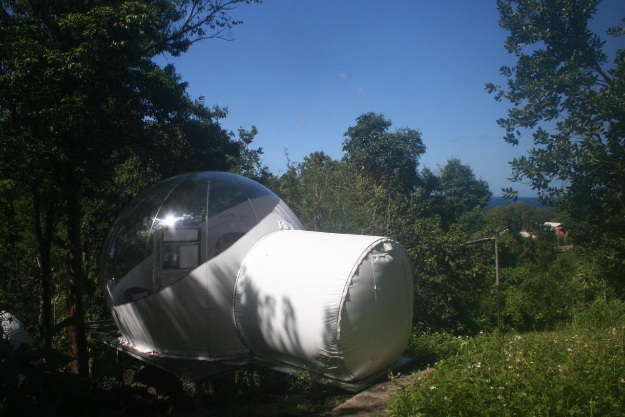 Hotel Maisons Bulles Deluxe Bouillante Exteriér fotografie